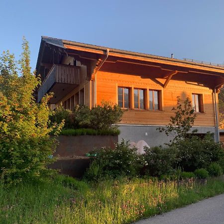 Chalet Park Apartment Mit Sauna Hamam Diemtigen エクステリア 写真