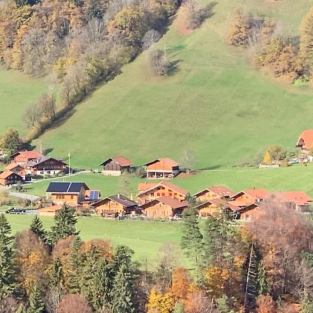 Chalet Park Apartment Mit Sauna Hamam Diemtigen エクステリア 写真