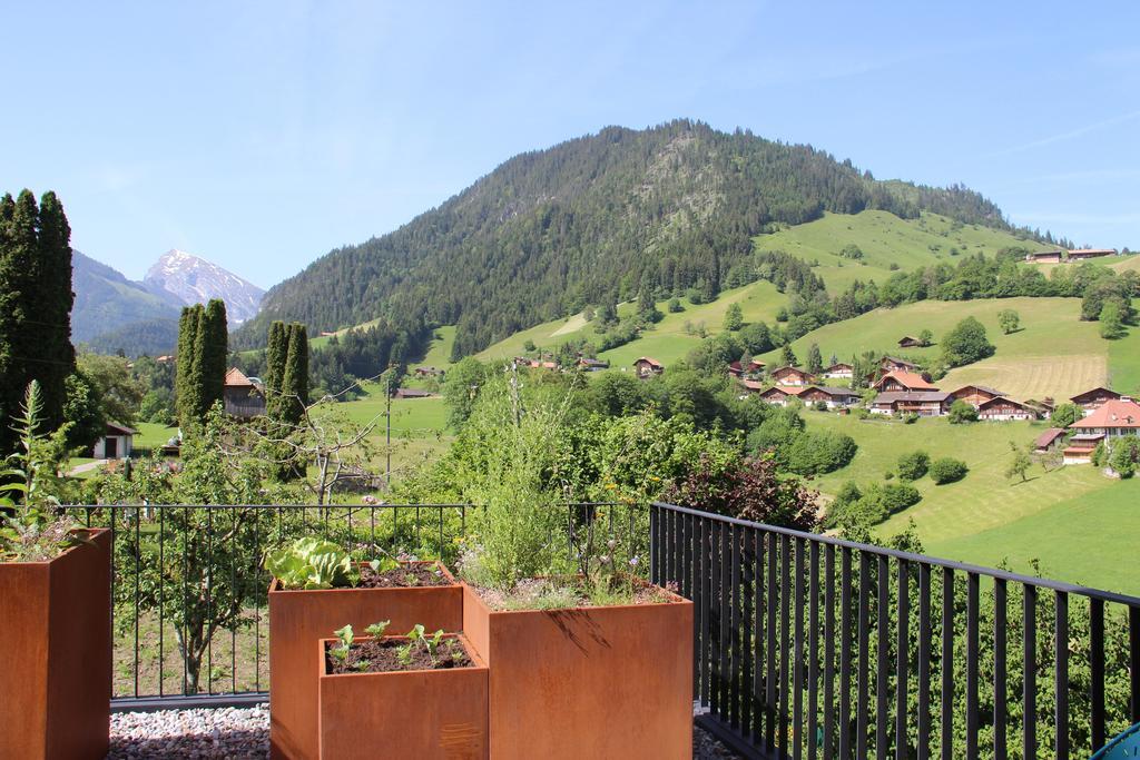 Chalet Park Apartment Mit Sauna Hamam Diemtigen 部屋 写真