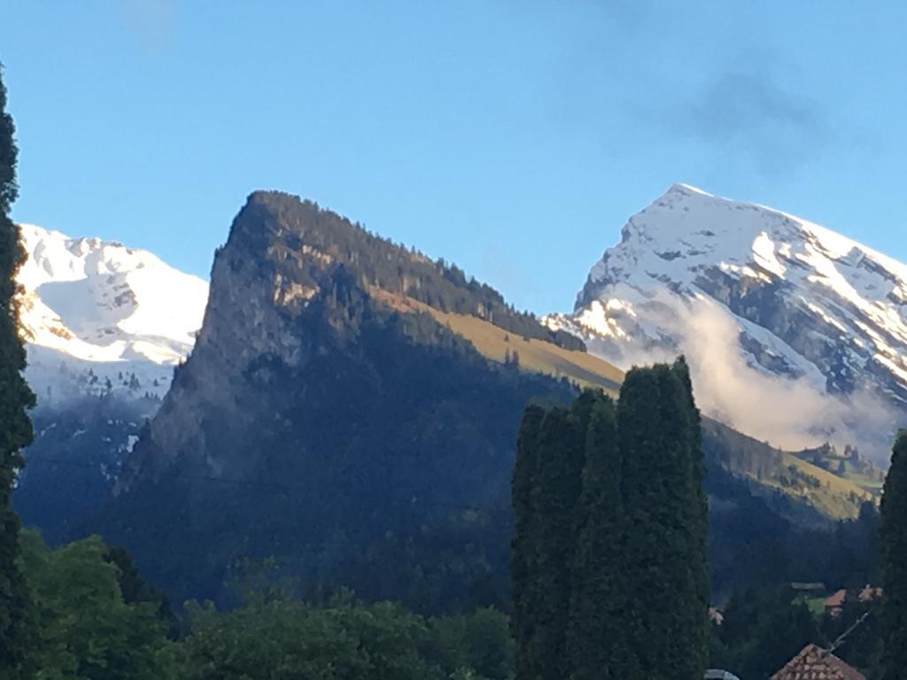 Chalet Park Apartment Mit Sauna Hamam Diemtigen エクステリア 写真