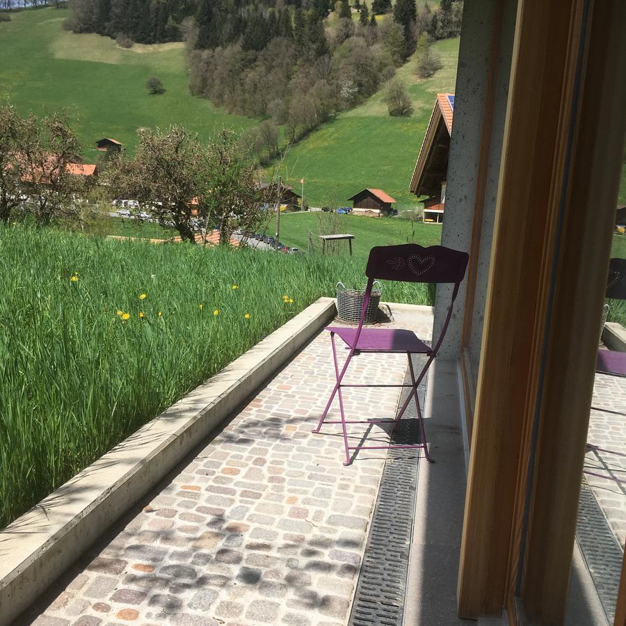 Chalet Park Apartment Mit Sauna Hamam Diemtigen エクステリア 写真