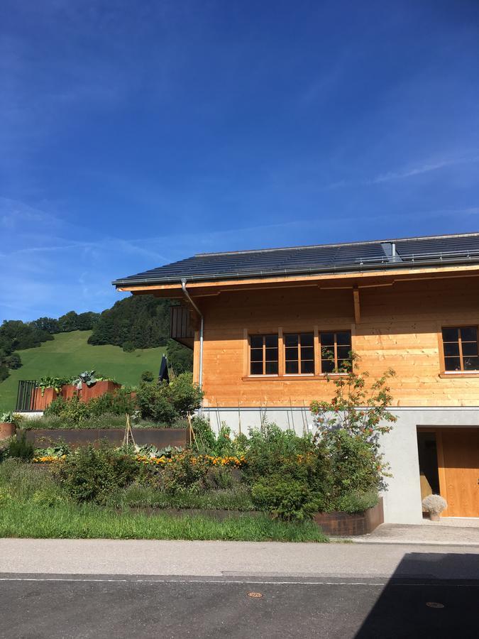 Chalet Park Apartment Mit Sauna Hamam Diemtigen エクステリア 写真